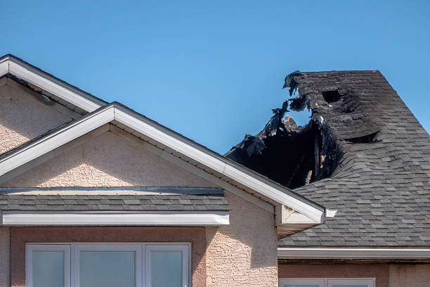 Top rated local Fire Damage Assessment specialists in Lakeville, MN